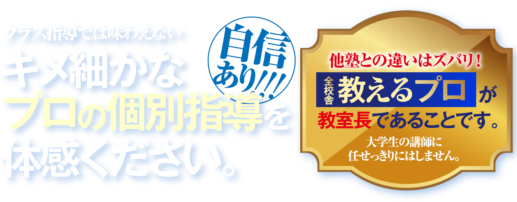 クラス指導では味わえないキメ細かなプロの個別指導を体感ください。